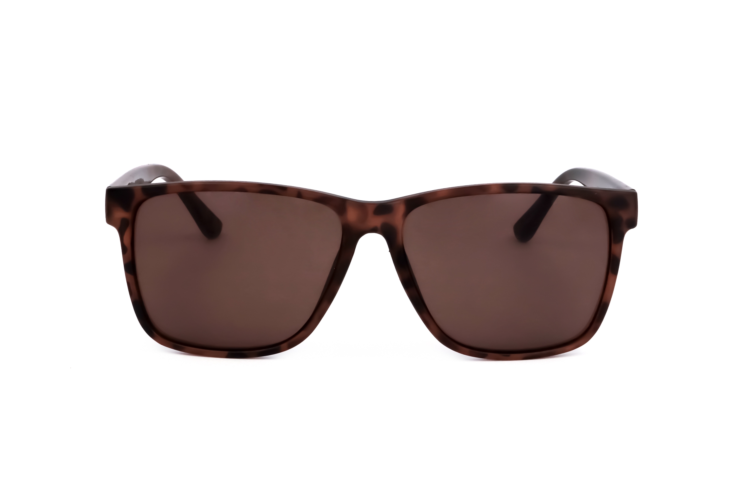 CK19540S 240 58 14 150 MATTE SOFT TORTOISE